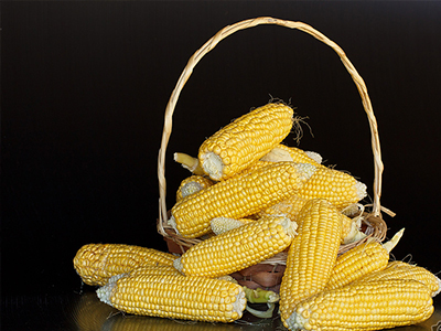 消費趨勢是決定種子銷量的最大因素