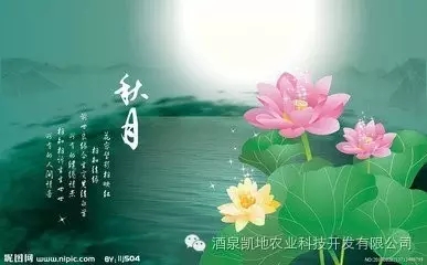 凱地農(nóng)業(yè)祝你中秋節(jié)快樂