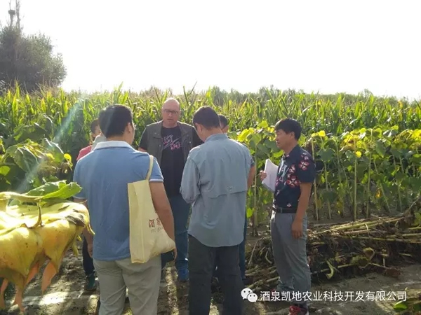 Қgӭ(ni)⌣Ҽ͑WRҹ˾ƷNԇ^ĦW