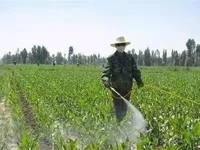 ʲôrgˎǧfӛΣee